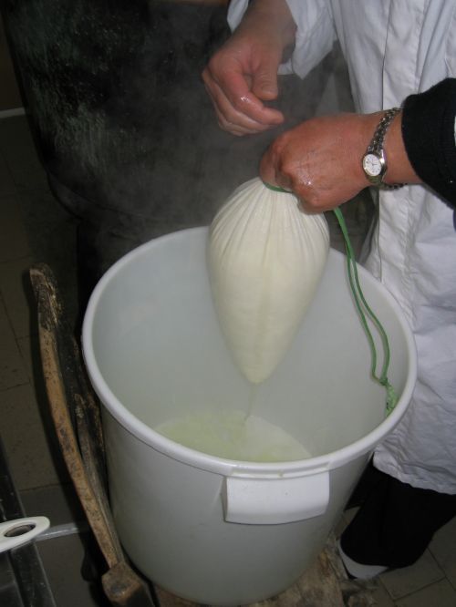 scuola di formaggio-57.JPG
